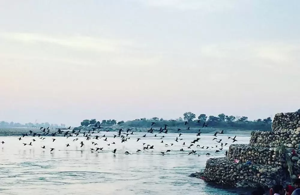 image search 1760608023722