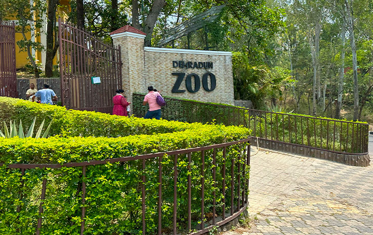 image search 1761842729564