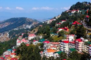 Shimla Kufri winter snow view with mountains and pine trees