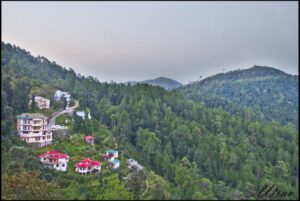 🏞️ Shimla Me Ghumne Ki Best Jagah (Shimla Tourist Places) Chail Palace and pine forests near Shimla