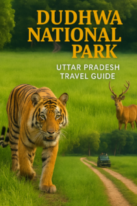 🐅 दुधवा नेशनल पार्क – उत्तर प्रदेश का जंगली स्वर्ग Dudhwa National Park Uttar Pradesh me tiger safari, barasingha deer aur jungle jeep safari ka scenic view
